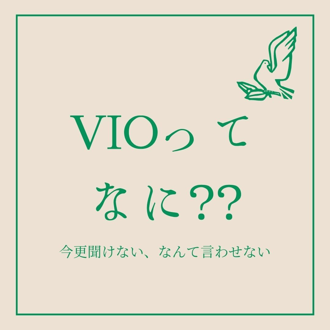 VIOって何？